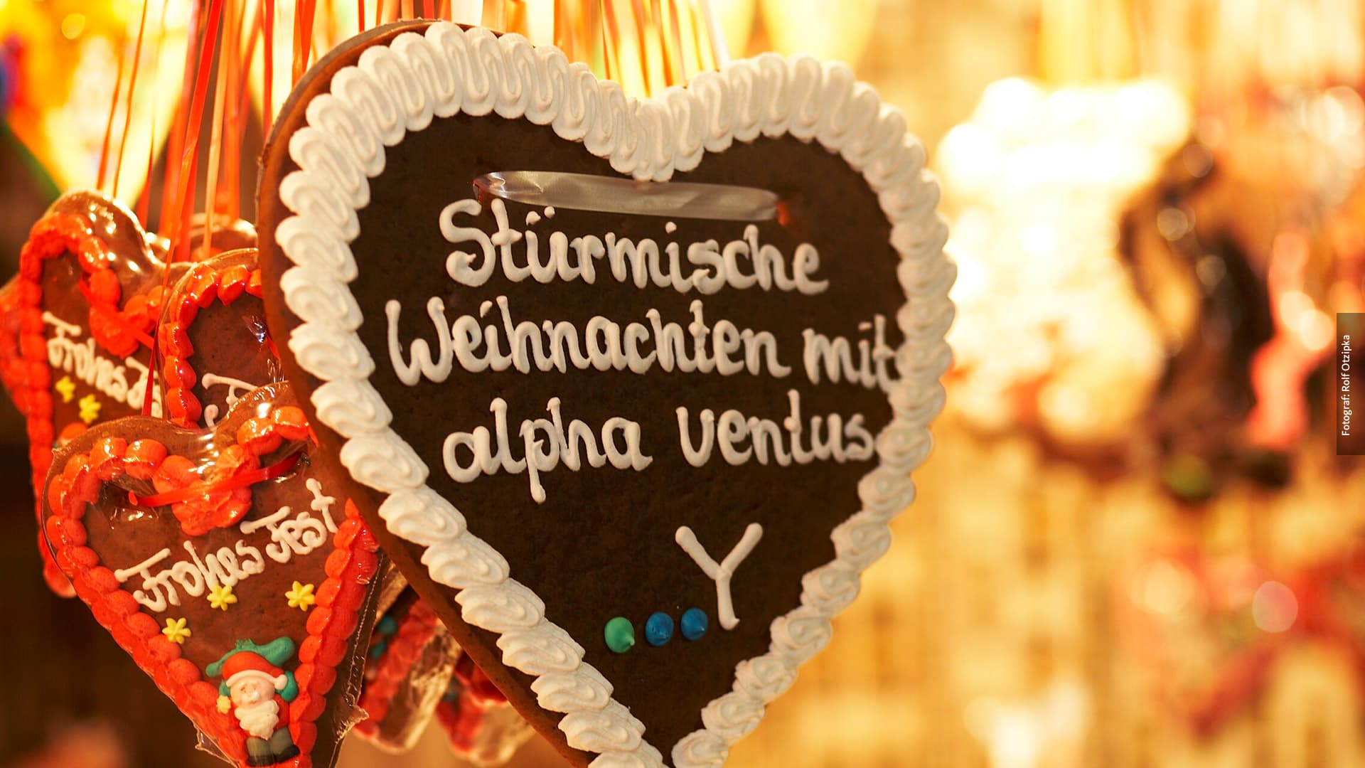 Grafiken, Ausstellungsmodule, Fotodokumentation
